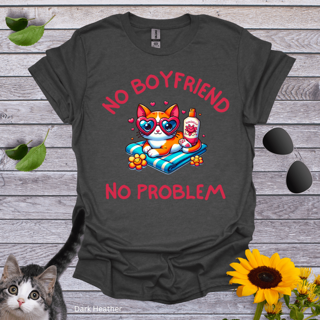 No Boyfriend, No Problem T-Shirt