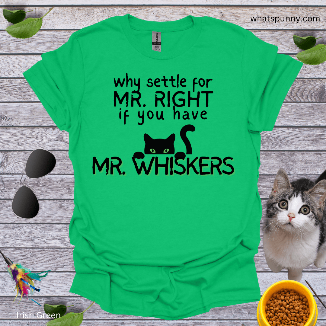 Why Settle For Mr. Right T-Shirt